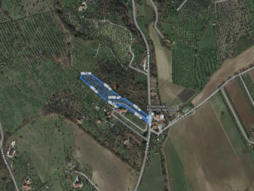 Agricultural land with olive grove - 13