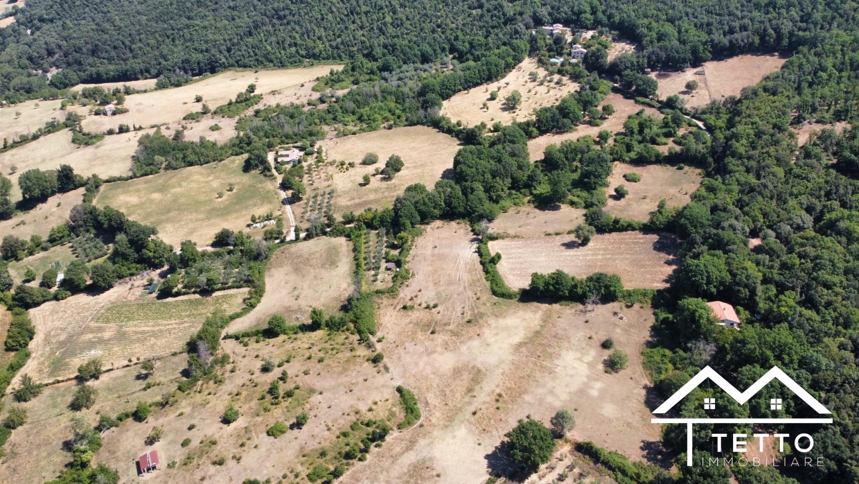 Vendita Terreno Agricolo Montasola