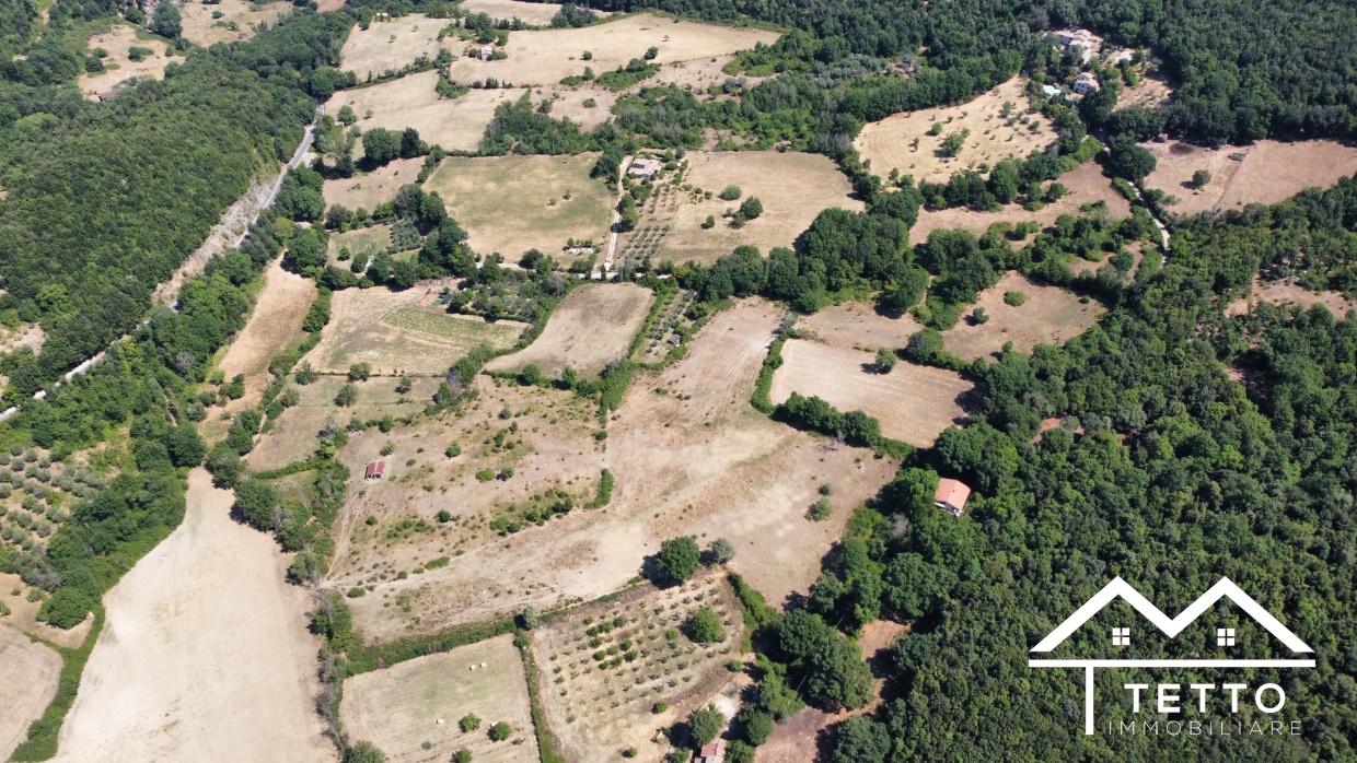 Vendita Terreno Agricolo Montasola