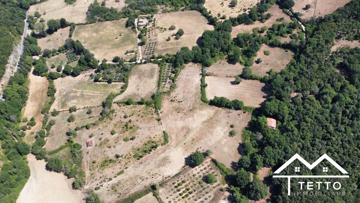 Vendita Terreno Agricolo Montasola