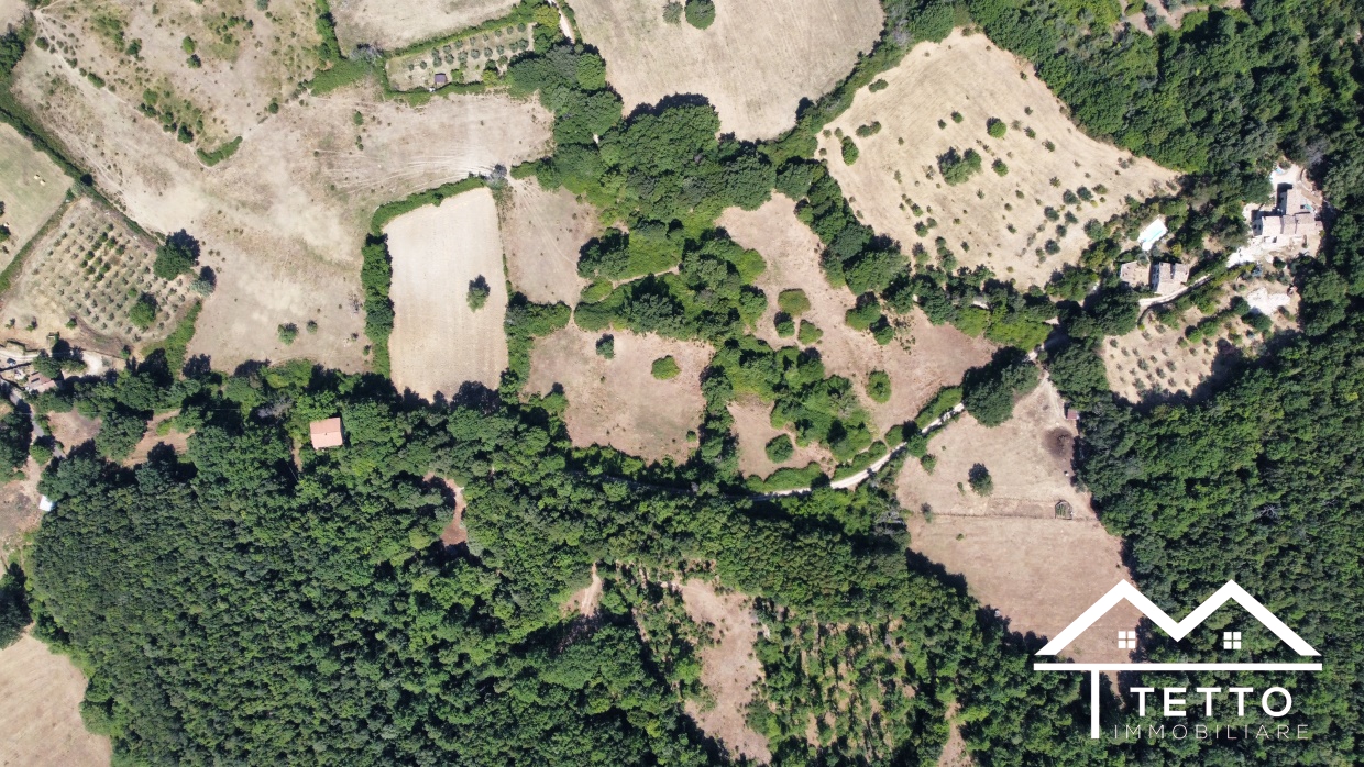 Vendita Terreno Agricolo Montasola