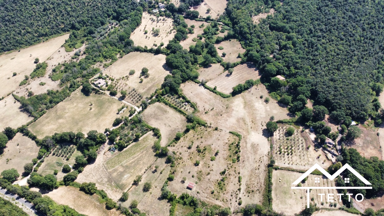 Vendita Terreno Agricolo Montasola