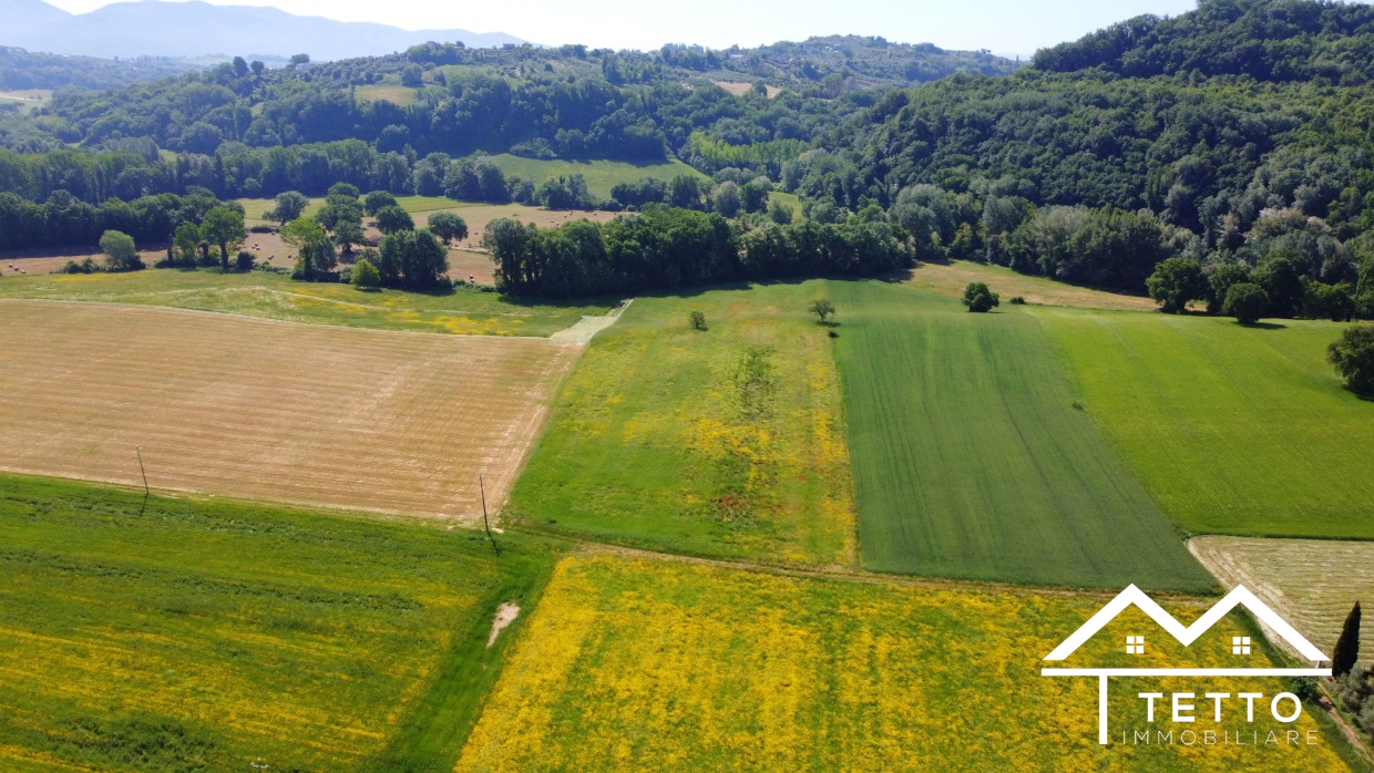 Terreno Agricolo Torri in Sabina RI1332066