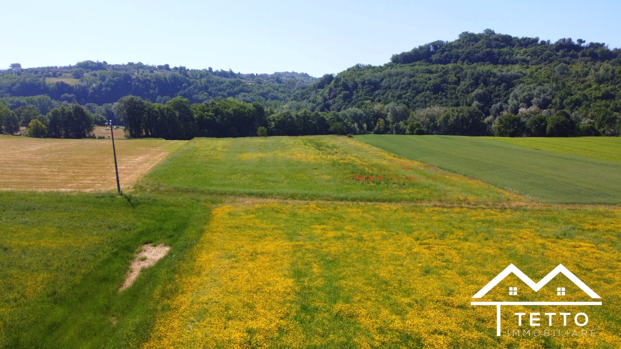 Terreno Agricolo Torri in Sabina RI1332066