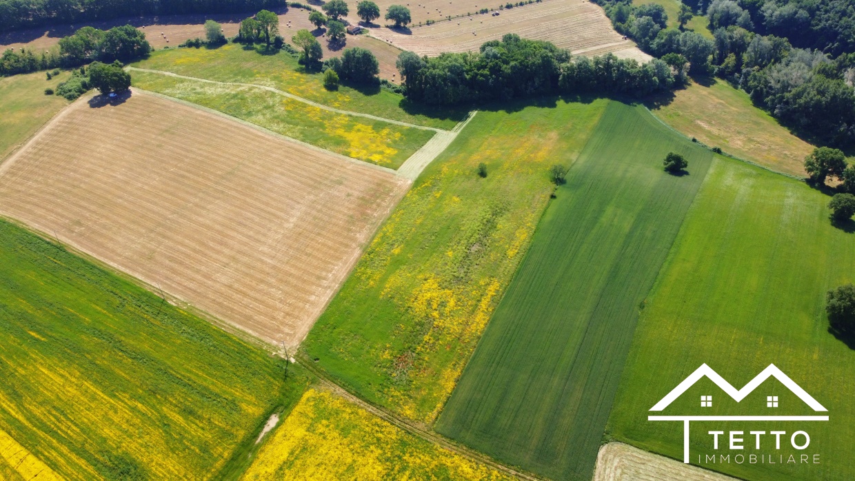 Terreno Agricolo Torri in Sabina RI1332066