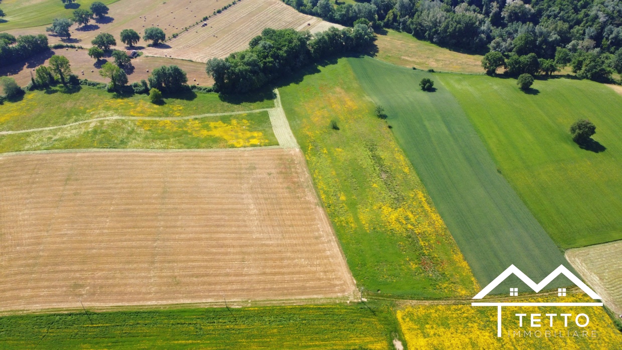 Terreno Agricolo Torri in Sabina RI1332066