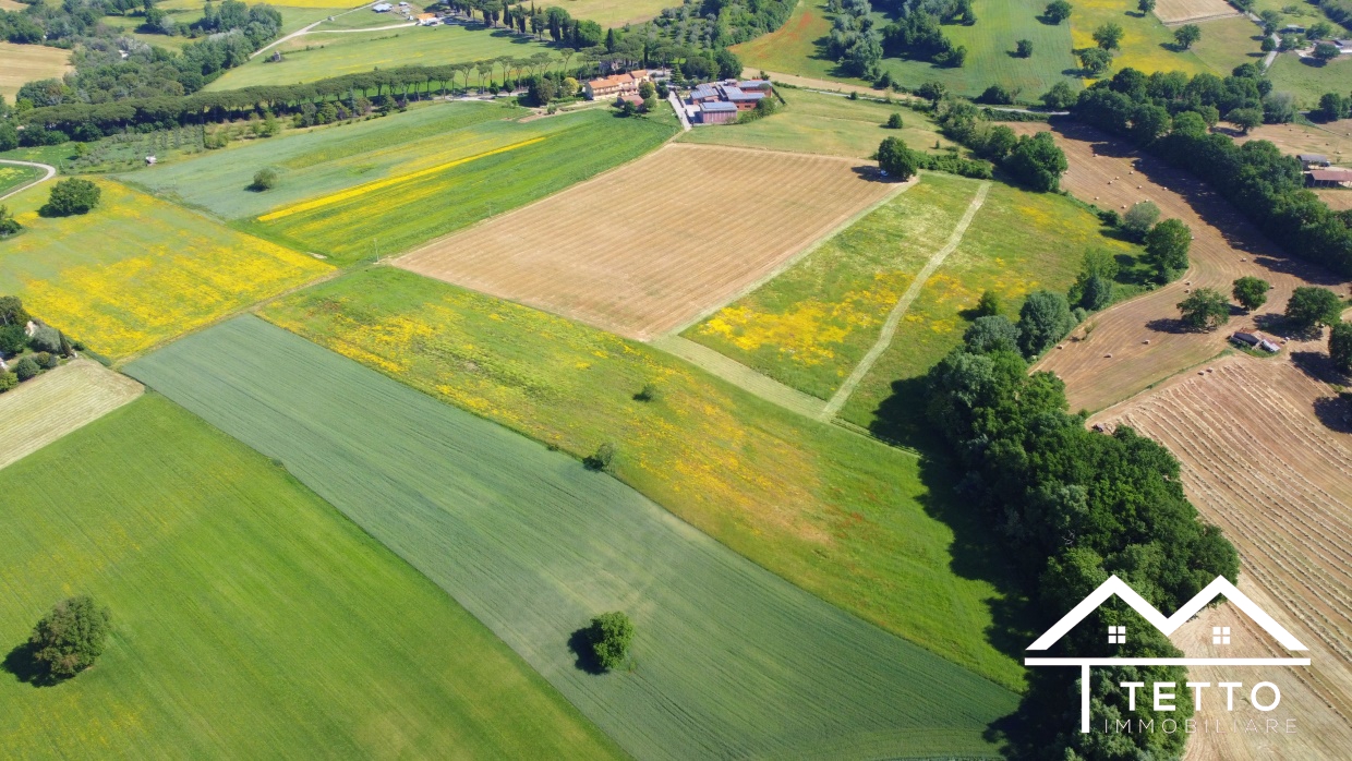 Terreno Agricolo Torri in Sabina RI1332066